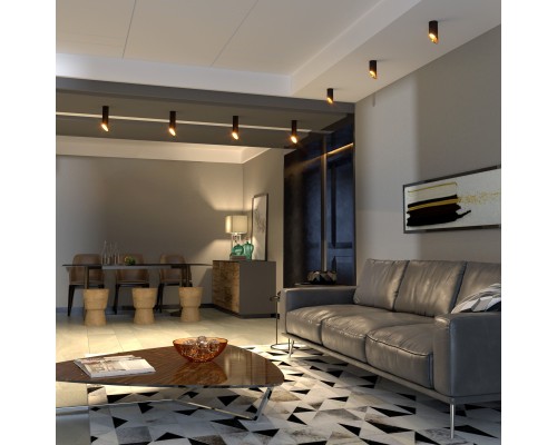 Накладной потолочный светильник DLN115 GU10