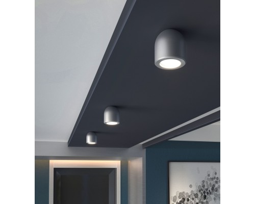 Накладной потолочный светильник DLN116 GU10