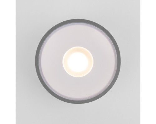 Уличный потолочный светильник Light LED 2135 IP65 35141/H серый