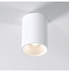 Накладной потолочный светильник 25011/01