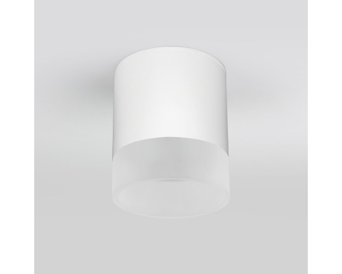 Уличный потолочный светильник Light LED 2107 IP54 35140/H белый