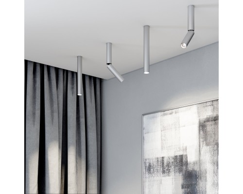 Накладной потолочный светильник с антибликовой решеткой Pika 25030/LED 6W 4200K серебро