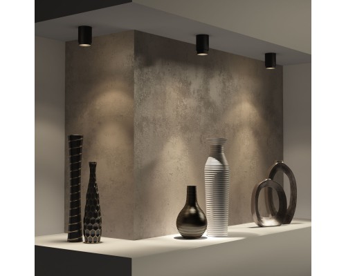 Потолочный светодиодный светильник Cors 25032/LED 10W 4200K чёрный