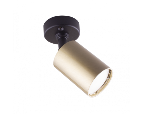 E51A .D55/SO.MG ЗОЛОТО-САТИН Светильник накладной поворотный