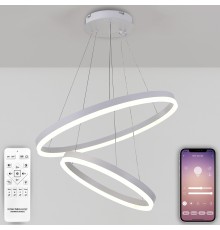 Люстра подвесная Natali Kovaltseva LED LAMPS 81297 Oreol 120Вт Белый 3300 / 4300 / 7000К