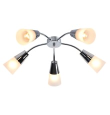 Потолочная люстра Escada Aquilegia 1100/5P Chrome