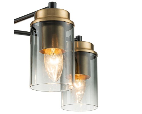 Потолочная люстра Escada Dinasty 2118/5P