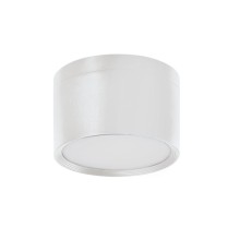 Накладной точечный светодиодный светильник Kanlux TIBERI PRO NT30W-940W 35678