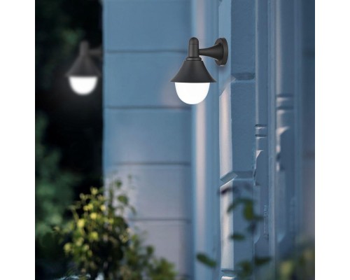 Уличный настенный светильник Escada 30009W/01