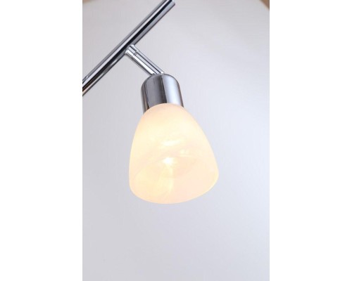 Спот Escada 5038/2PA