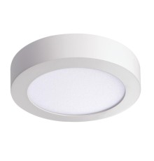 Потолочный светодиодный светильник Kanlux CARSA V2LED 12W-NW-W 28948