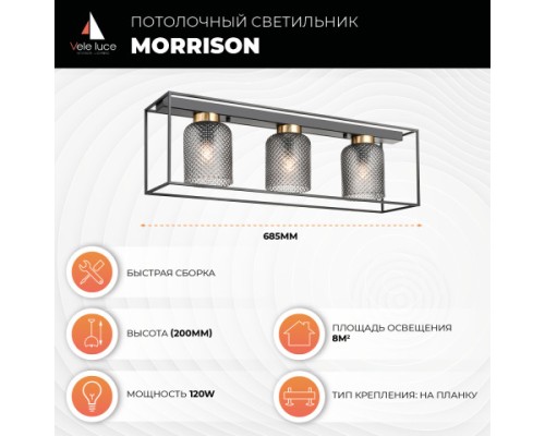 Потолочный светильник Vele Luce Morrison VL5472L03