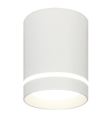 Потолочный светодиодный светильник Escada 20009SMU/01LED SWH