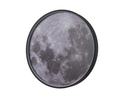 Настенно-потолочный светодиодный светильник Escada Planet 10226/SG LED Mars