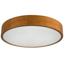 Настенно-потолочный светильник Kanlux JASMIN 470-G/O 36442