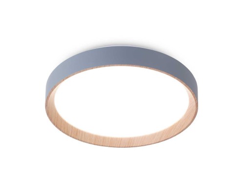 Потолочный светодиодный светильник Ambrella light Orbital Design FZ1320