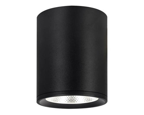 Потолочный светодиодный светильник Escada 20003SMU/02LED SBK