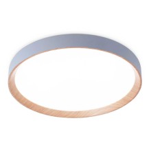 Потолочный светодиодный светильник Ambrella light Orbital Design FZ1322