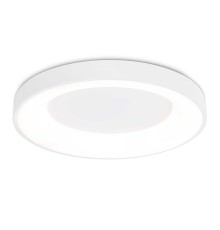 Потолочный светодиодный светильник Ambrella light Orbital Design FZ1401