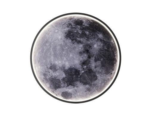 Настенно-потолочный светодиодный светильник Escada Planet 10226/SG LED Moon