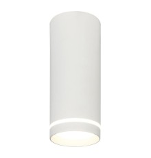 Потолочный светодиодный светильник Escada 20009SMU/02LED SWH