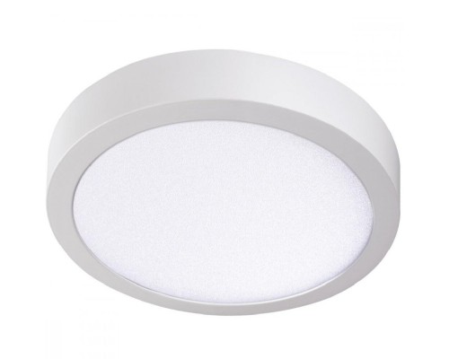 Потолочный светодиодный светильник Kanlux Carsa 33541