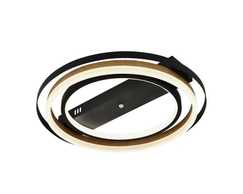 Потолочный светодиодный светильник Escada Lagom 10247/2LED