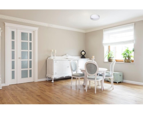 Потолочный светодиодный светильник Kanlux RIFA LED 17,5W WW W/W 36461