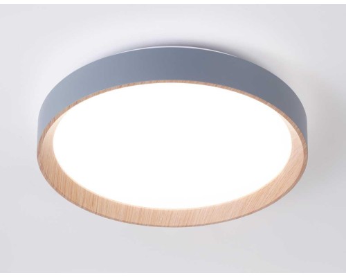 Потолочный светодиодный светильник Ambrella light Orbital Design FZ1320