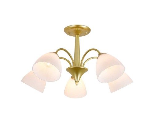 Потолочный светильник Escada ILEX ES0000033