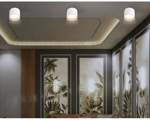 Светильник накладной Ambrella Light TN5304