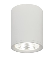 Потолочный светодиодный светильник Escada 20003SMU/02LED SWH