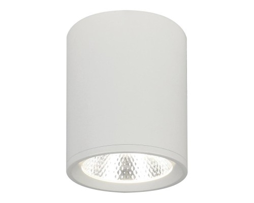 Потолочный светодиодный светильник Escada 20003SMU/02LED SWH