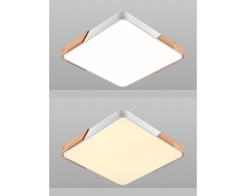 Потолочный светодиодный светильник Natali Kovaltseva LED LAMPS 81411