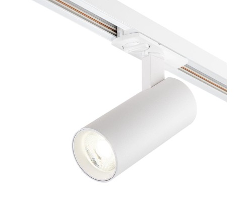 Трековый светодиодный светильник Escada 20002TRA/02LED SWH