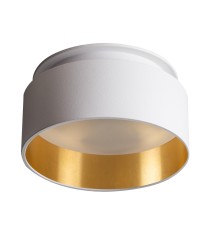 Точечный светильник Kanlux GOVIK DSO-W/G 29231