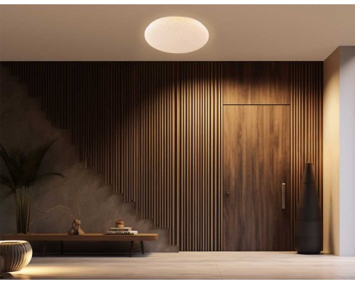 Светильник Ambrella Light ORBITAL FZ1751