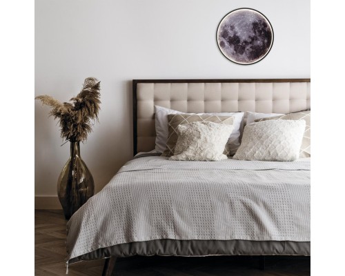 Настенно-потолочный светодиодный светильник Escada Planet 10226/SG LED Mars