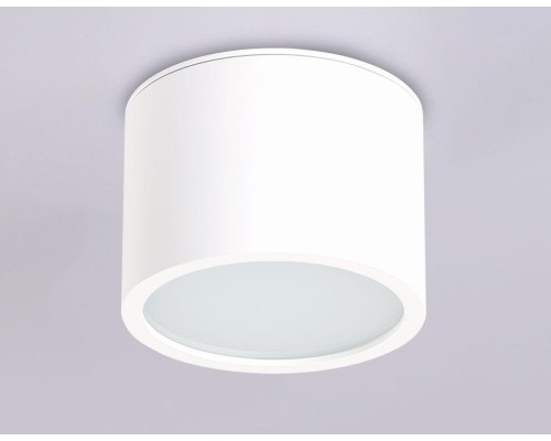 Потолочный светильник Ambrella light Techno Spot IP Protect TN6550