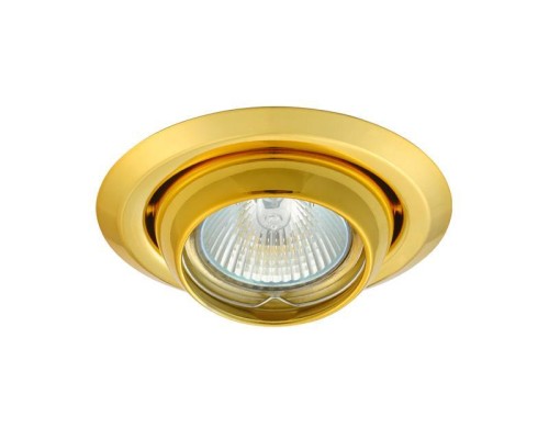 Точечный светильник Kanlux ARGUS CT-2117-G 308