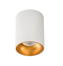 Накладной точечный светильник Kanlux RITI GU10 W/G 27570