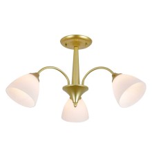 Потолочный светильник Escada ILEX ES0000032