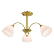 Потолочный светильник Escada ILEX ES0000032