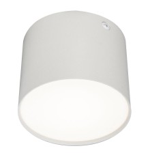 Потолочный светодиодный светильник Escada 20004SMU/01LED SWH