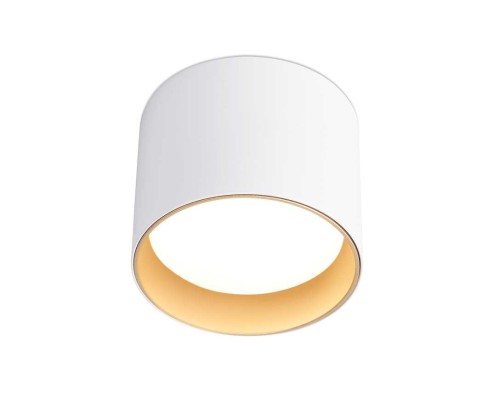 Светильник накладной Ambrella Light TN5304