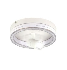 Потолочный светодиодный светильник Escada 20044SMA/02LED WH