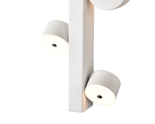 Подсветка Vele Luce Cameo VL8301W13