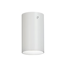 Накладной светильник V4640-0/1PL, 1хGU10 макс. 20Вт