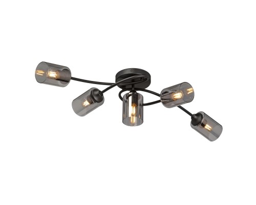 Люстра V2048-1/5PL, 5хE27 макс. 40Вт