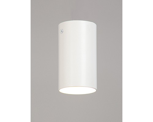 Накладной светильник V4640-0/1PL, 1хGU10 макс. 20Вт